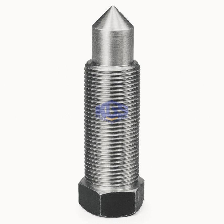 Болт стопорный DD-25-55 - 2